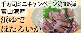 お客様感謝ミニキャンペーン