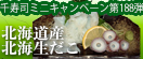 お客様感謝ミニキャンペーン