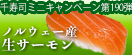 お客様感謝ミニキャンペーン