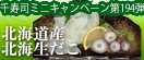 お客様感謝ミニキャンペーン