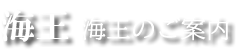 海王店のご案内